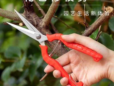 直头树枝剪刀多功能园艺果蔬剪大号花艺盆栽枝叶树枝修剪水果剪图5
