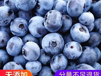 加工定制速冻A级蓝莓 冷冻水果 新鲜冷冻水果批发10kg装图4