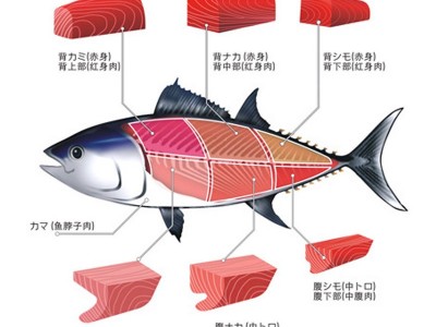 蓝旗金枪鱼50kg 整条新鲜刺身蓝旗黄鳍深海鱼斯里兰卡金枪鱼批发图2