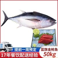 蓝旗金枪鱼50kg 整条新鲜刺身蓝旗黄鳍深海鱼斯里兰卡金枪鱼批发