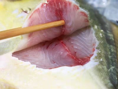 大号鲳鱼鲜活水产金鲳鱼活冻生鲜深海白鲳鱼海鱼肉海昌鱼平 批发图5