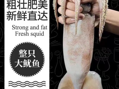 鲜活深海捕冷冻水产新鲜大鱿鱼尤鱼整只烧烤批发水产非干货烧烤图2