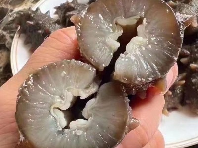 大连9年淡干海参干货500g深海辽刺参海渗叁礼盒非即食可代发批发图3