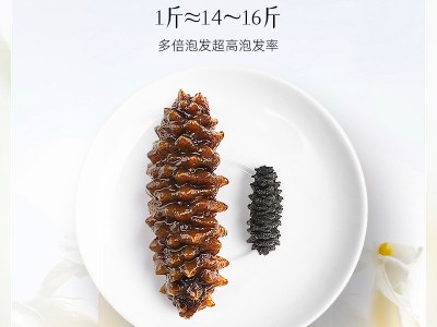 螺纹参深海淡干螺纹参黑刺海参 淡干足干海参干货500克代发批发图3