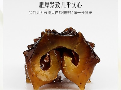 螺纹参深海淡干螺纹参黑刺海参 淡干足干海参干货500克代发批发图4