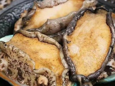 【特大号】鲜活大鲍鱼新鲜冷冻个大鲜活海捕超大野生非鲍鱼干活体图3