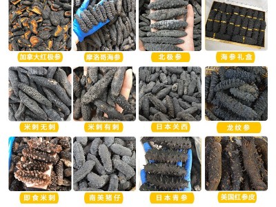 20-35头加拿大红极参 厂家直销海参干货红极参参皮现货批发干海参图3