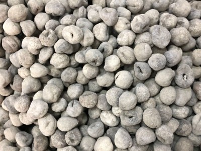 北海特产海参淡干500g海参乌元球参珍珠球参酒店节日送礼参干批发图4