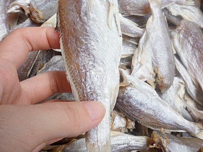 北海黄花鱼干干货500g小黄鱼干货特产咸鱼干渔民自晒风干海鱼干货图3