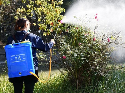 厂家批发农用农药喷雾器 背负式 农用机械打药机 高压电动 喷雾器图3