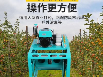 厂家批发48V60V电动喷雾器 农用自排一体感应高压电动打 药机图4