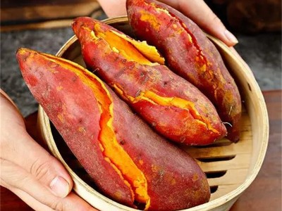 河南开封红薯新鲜上市应季番薯新鲜直达活动图2