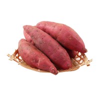 河南开封沙地红薯新鲜上市应季番薯新鲜直达活动