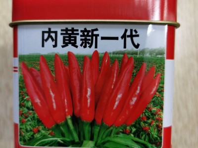 大果朝天椒椒多多二号耐高温硬果高产辣椒种子小米辣单生朝天椒图5