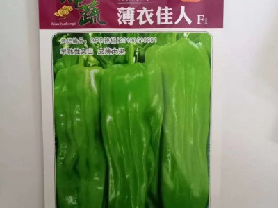 苏润515/润美700辣椒种子早熟高产大果薄皮春秋大棚四季播新品种图4