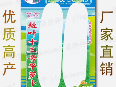 短叶十三号早萝卜种子 约500粒四季早熟大白萝卜罗卜蔬菜种子批发图5