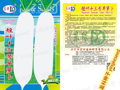 短叶十三号早萝卜种子 约500粒四季早熟大白萝卜罗卜蔬菜种子批发图4