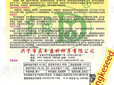 南畔洲特大萝卜种籽 约400粒 九斤王白罗卜 春不老迟萝卜种子批发图3