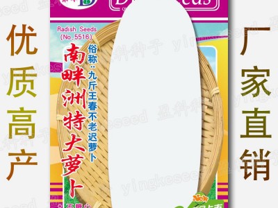 南畔洲特大萝卜种籽 约400粒 九斤王白罗卜 春不老迟萝卜种子批发图2