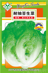 450克-耐抽苔生菜