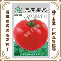 冯子龙种苗公司直售批零种植蔬菜种子3号番茄 种植 盆栽种植