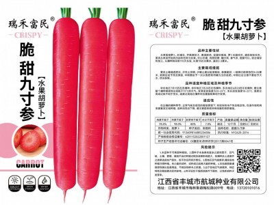 胡萝卜种子脆甜九寸参水果胡萝卜蔬菜种子三红九寸参夏秋季蔬菜籽图4