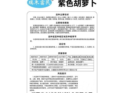 紫色胡萝卜种子紫胡萝卜九寸参红萝卜夏秋季蔬菜种子庭院新手仲裁图3