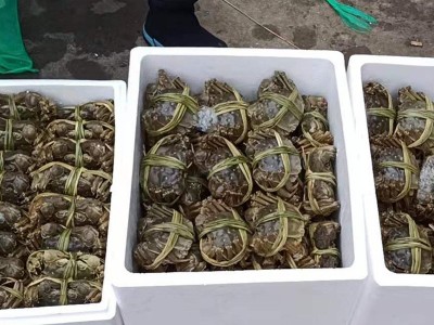 兴化红膏大闸蟹兴化大闸蟹4.5两全母蟹鲜活特大螃蟹河蟹礼盒批发图2