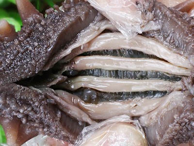 阜实商贸海鲜批发直播代发大连即食海参500g 海参刺参水产干货工图2