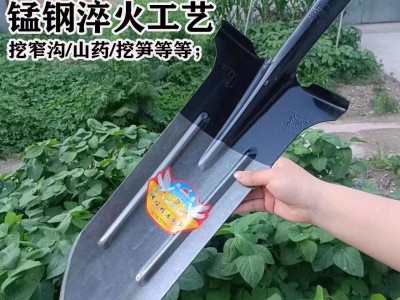 农用加厚长尖头锹新款窄细锹挖沟挖树修渠挖山药铲子全钢淬火锨图2