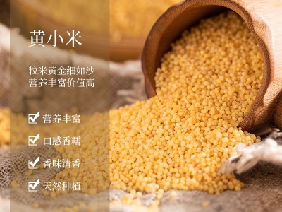 优禾臻小米蔚州贡米煮粥小米批发1KG粗粮孕妇月子米图4