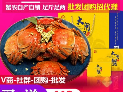 大闸蟹礼卡公蟹母蟹私域社区团购企业采集阳澄湖镇直发螃蟹礼券图1