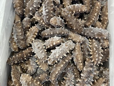 即食海参500g辽刺参即食海参鲜食海参开袋即食 海参源头厂家批发图2