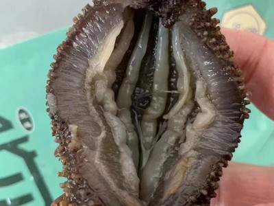 即食海参500g辽刺参即食海参鲜食海参开袋即食 海参源头厂家批发图4