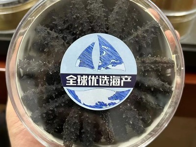 淡干小海参迷你淡干海参礼盒 速发海参肉质Q弹非即食海参批发代发图2