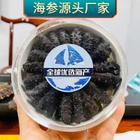 淡干小海参迷你淡干海参礼盒 速发海参肉质Q弹非即食海参批发代发