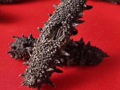 源品堂SC工厂一手货源大火淡干海参 海参干货批发非即食海参 50G图3