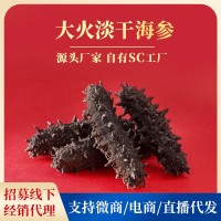 源品堂SC工厂一手货源大火淡干海参 海参干货批发非即食海参 50G