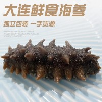 工厂直发大连即食鲜食海参半斤装即食海参速食批发代发非淡干海参