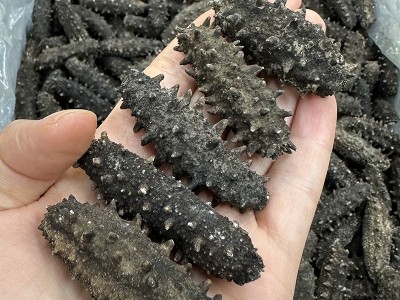 厂家现货批发水产福建冻干海参鲜活冷冻高质量非即食纯冻干海参图4