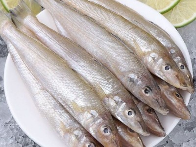 沙丁鱼新鲜烟台海捕深海鱼冷冻速冻冰鲜海鲜水产烧烤食材一件代发图3