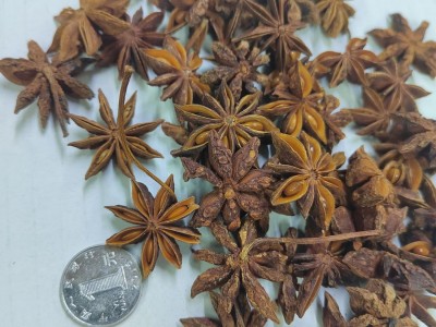 广西大红八角春花八角现货批发家用商用炒菜炖汤调味图5