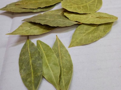 香叶500g现货批发调料组合香料大全家用调味料八角桂皮小茴香图2
