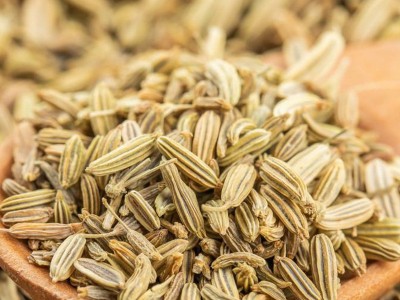 甘肃小茴香产地货源茴香批发现货调料佐料免费打粉图2