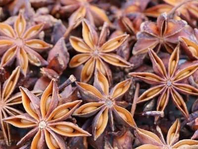 广西大红八角 批发零售 大料 全干大茴香 火锅冒菜底料调味香辛料图2
