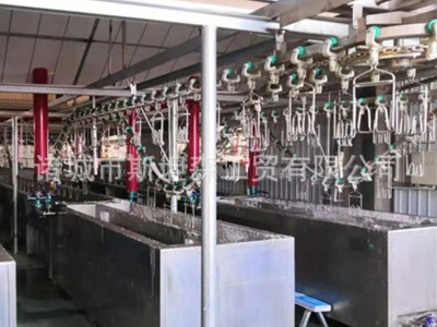 小型全自动红毛蛋鸡宰杀设备 全自动鸡屠宰线厂家 杀鸡设备价格H图4
