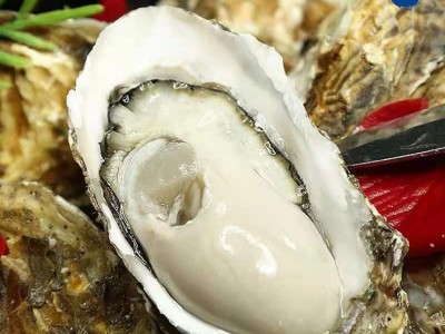 福建霞浦鲜活生蚝 鲜活25公斤带壳牡蛎 海鲜水产海蛎顺丰现装直发图3