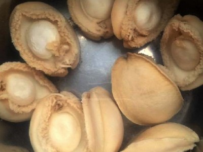 大连干鲍鱼100克瓶装现货批发200头淡干鲍鱼罐装规格可一件代发图4