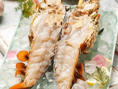 龙虾大青冷冻海鲜急冻小青特大波士顿花龙批发代发一件批发跨境图4