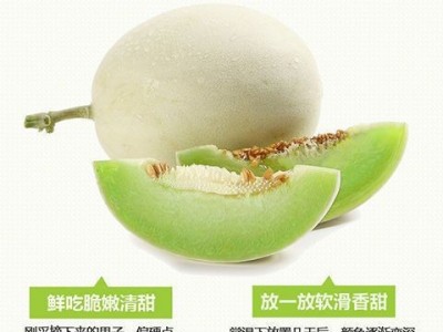 网红冰淇淋玉菇甜瓜新鲜当季水果白皮绿肉香甜玉茹蜜小香瓜包邮图5